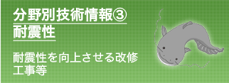 分野別技術情報③耐震性　耐震性を向上させる改修工事等